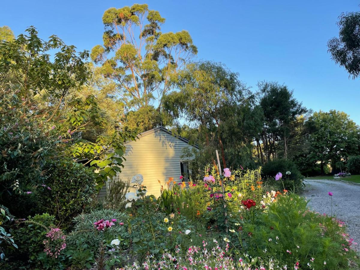 Tindoona Cottages Foster Exterior foto